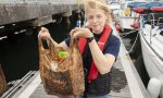 La gran mentira de las bolsas de plástico ‘biodegradables’ del supermercado