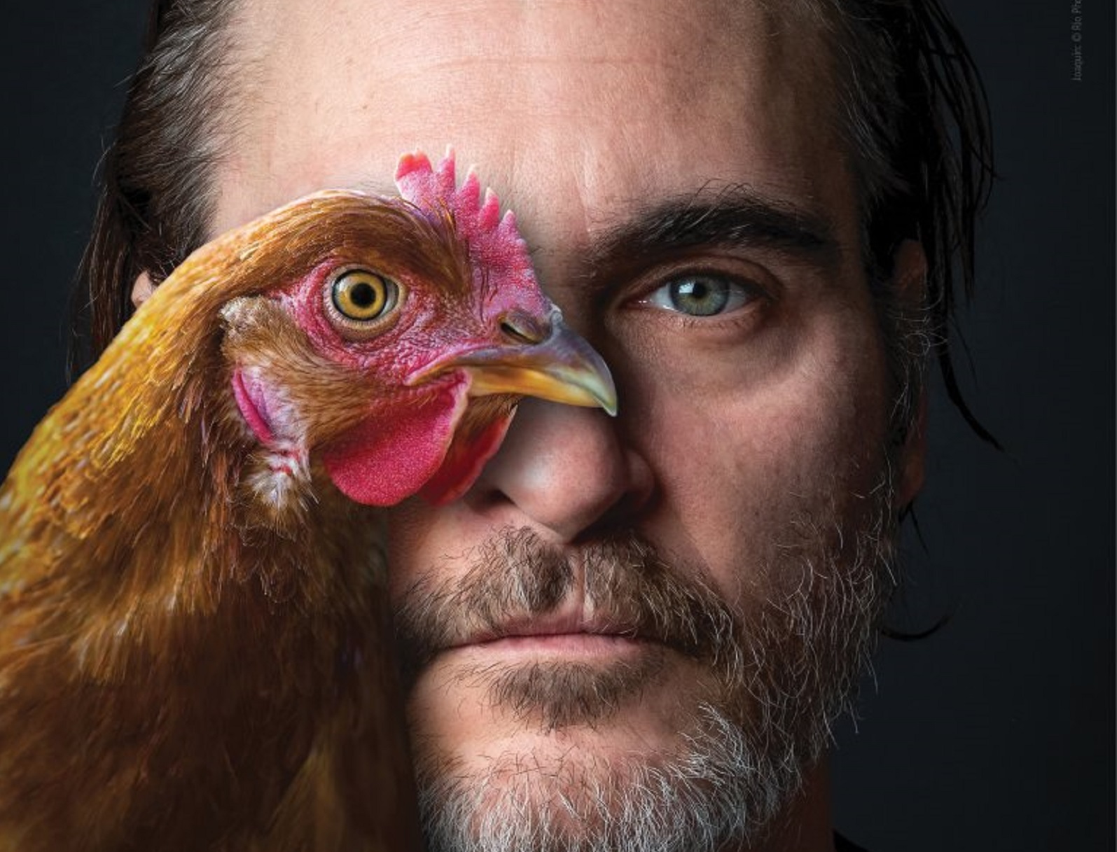 Joaquin Phoenix en una de sus campañas para PETA