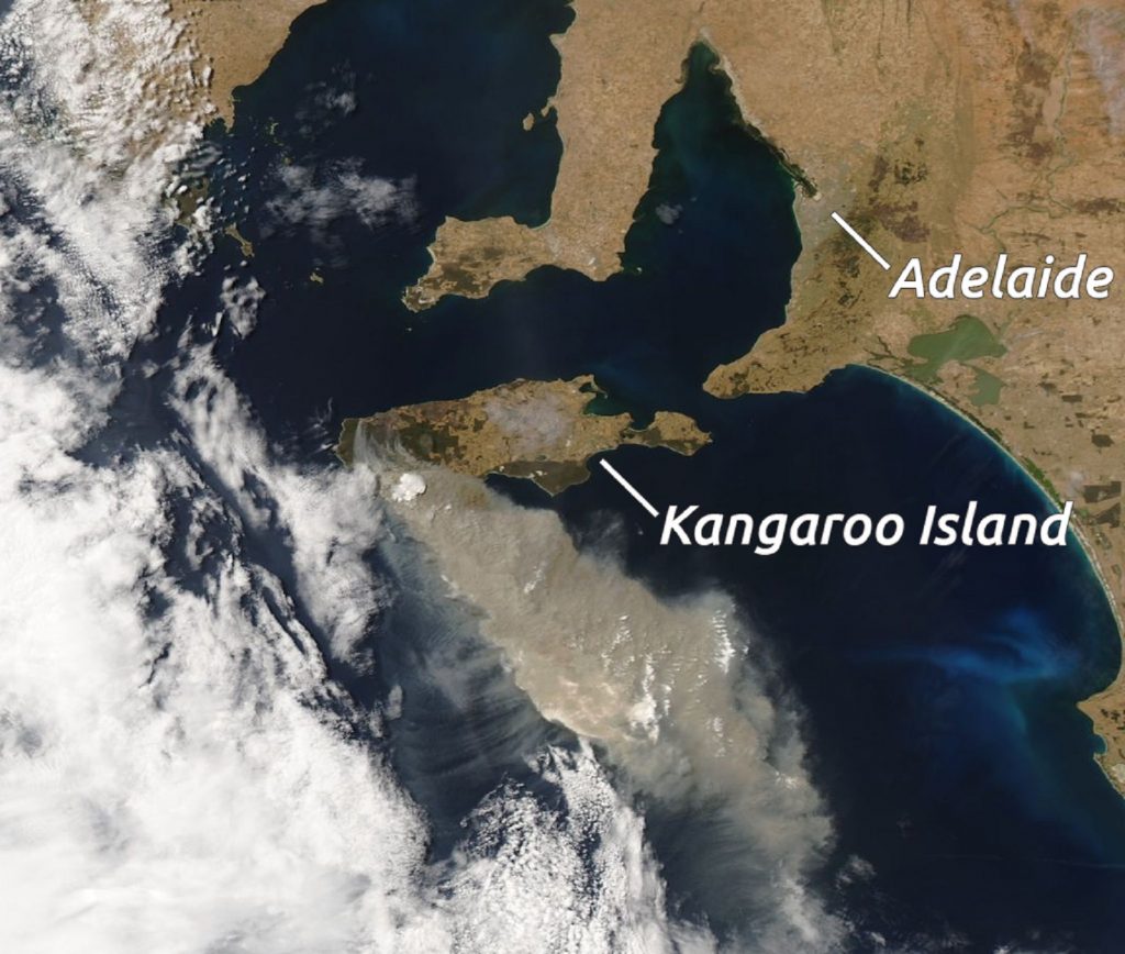 Isla Canguro y sus incendios en enero visto desde el espacio