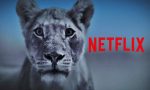 Todos los documentales sobre animales y naturaleza disponibles en Netflix