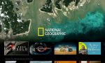 Los mejores documentales de National Geographic disponibles en Disney Plus sobre animales y naturaleza