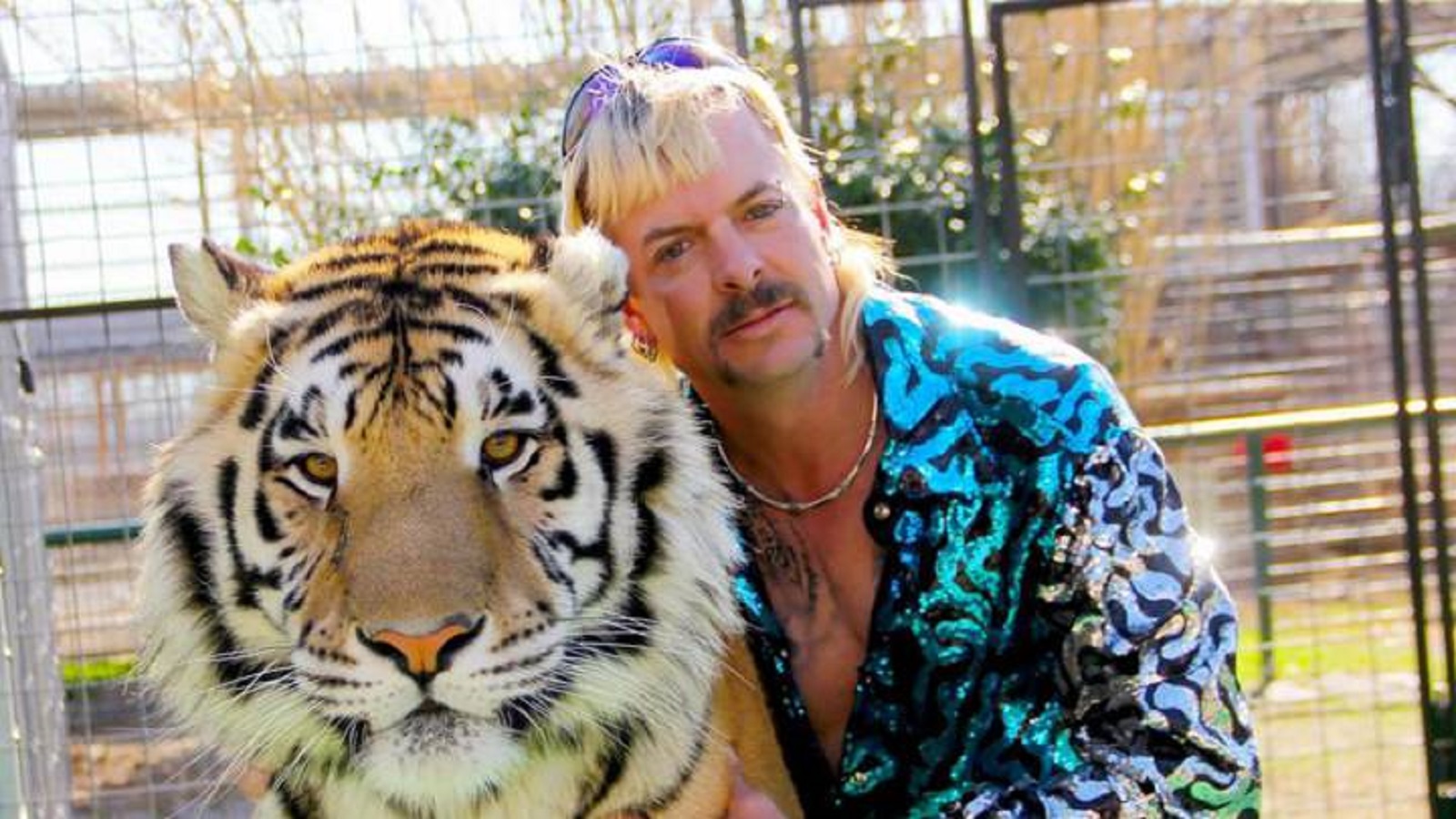 Tiger King: la verdad sobre los tigres del documental de Netflix